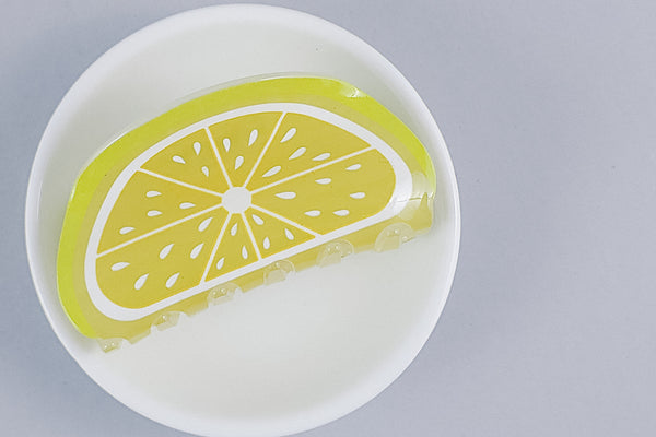Claw Clip | Fruit Slices | 3 Options